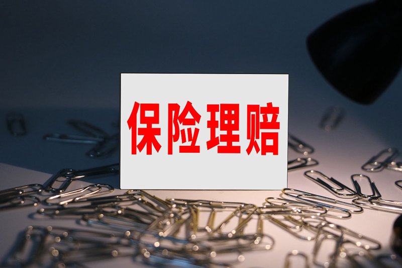河池保险行业协会：共筑城市安全网